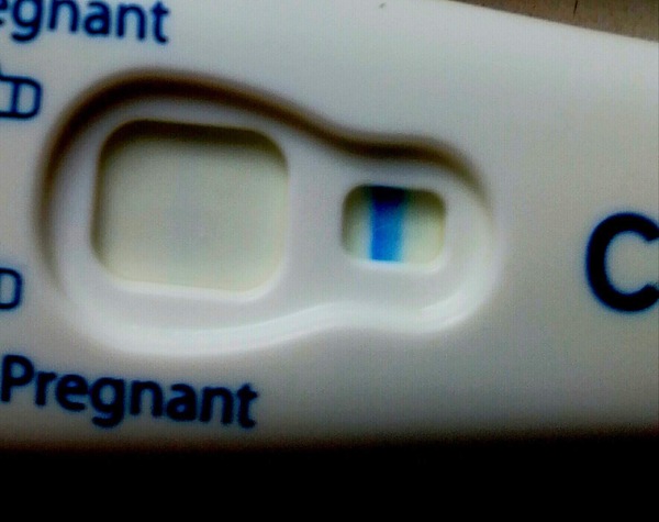 Early pregnancy test
