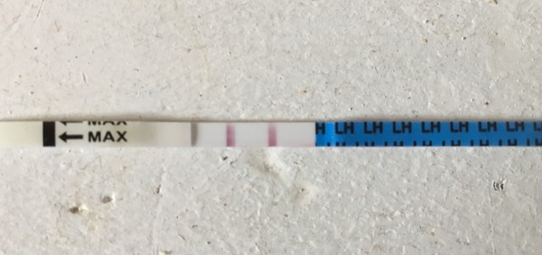 First time ttc is this a positive opk?