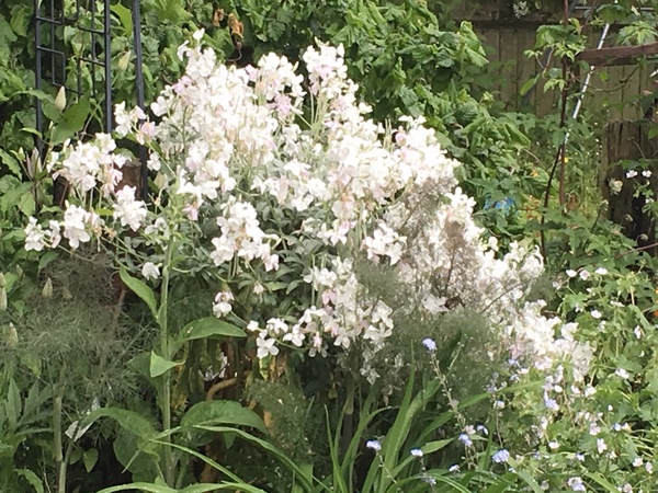 What's this beauty?
