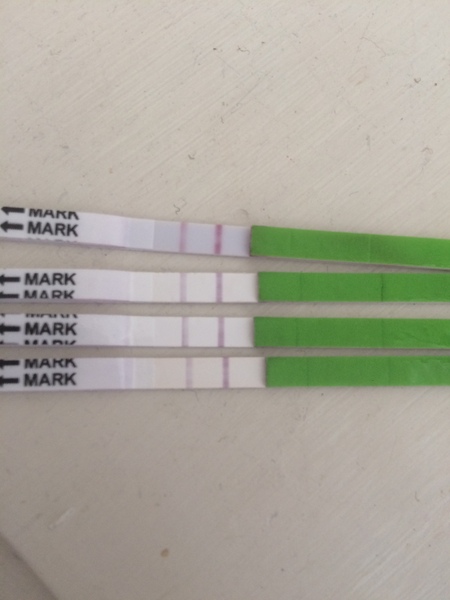 OPK test are these positive?