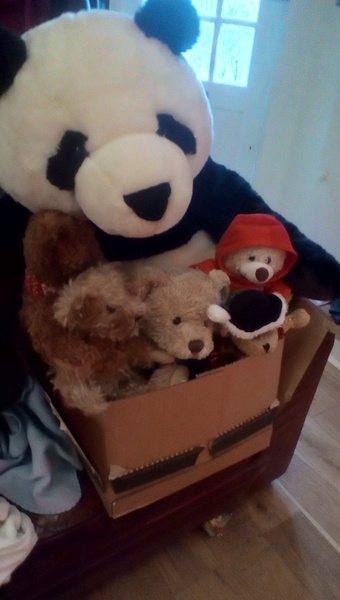 Cancer support thread 62 - here comes the sun (hopefully)