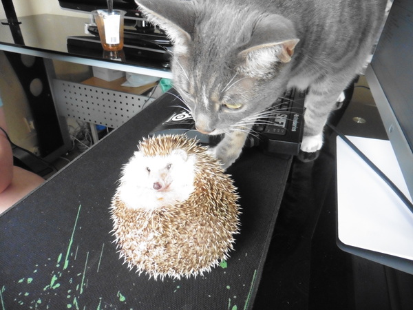 I Am Being Unreasonable (Sorry!)