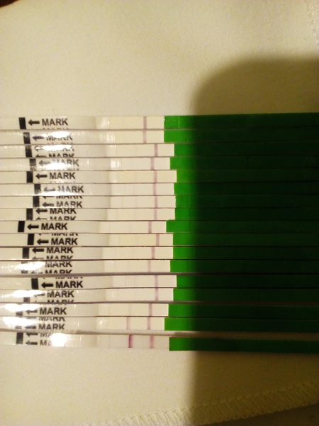 TTC after Pregnancy Loss Thread 20 - Fx for 2019 babies