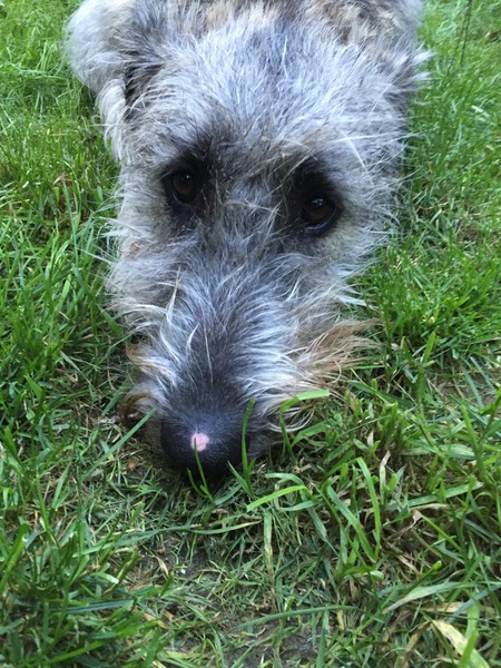 What is this on His face?!