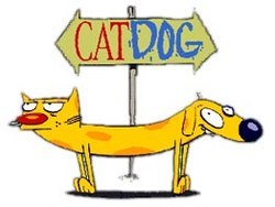 or did we get sold defective cats?