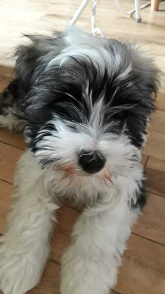 16wks - surely I should be allowed to sleep now?