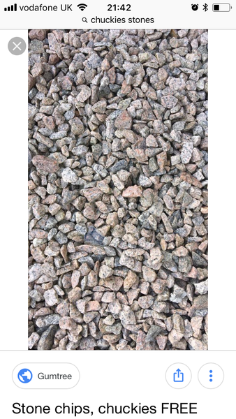 Help! What do I plant in an area with chuckies?