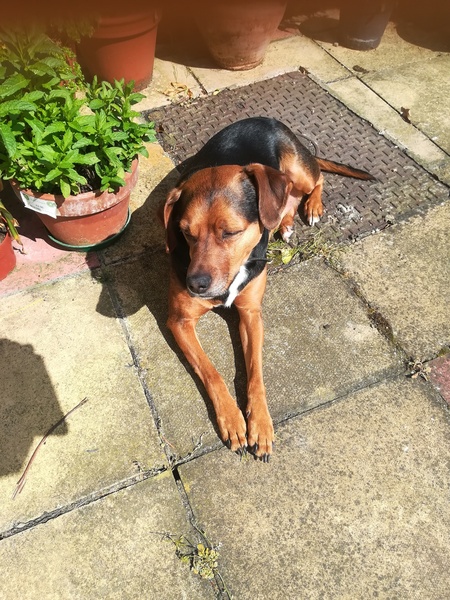 Still supporting  after DH died ( Juan et al)