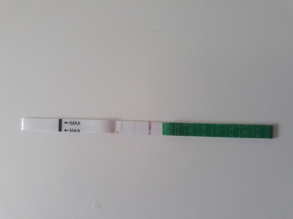 OPK, cm and ovulation help