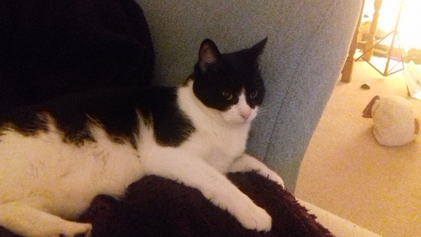 Marching into May, packed lunches all the way ! Join the frugaleers for frugal tips and friendly chat .