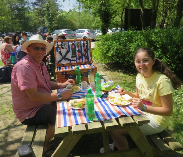 To be really excited because i've just bought a new rotary drier?