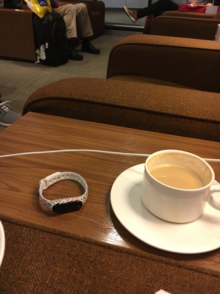 Pokemon Go #16. Cast adrift on memory Blissey of you.