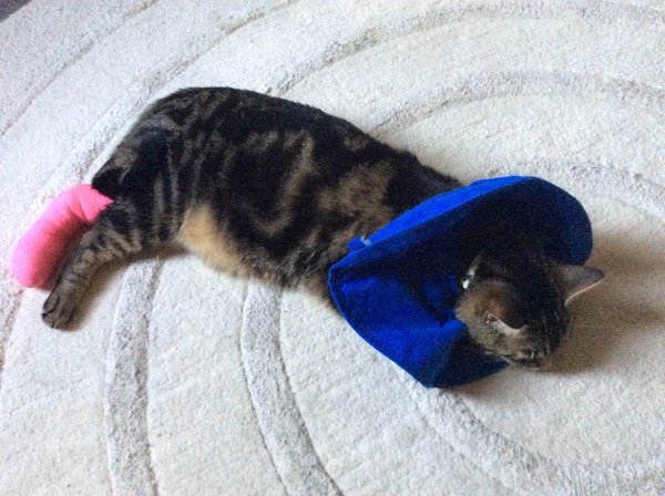 Should I do anything about a smelly splint??