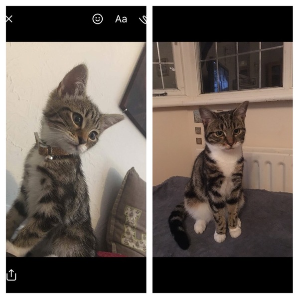 My handsome boy is 1 year old