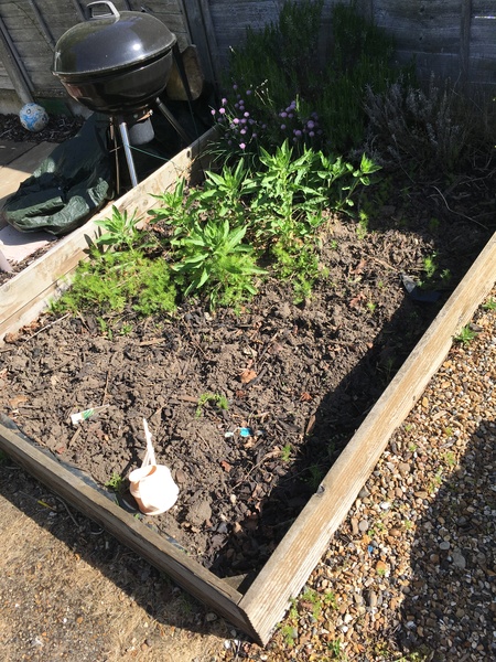 Want to start growing veg