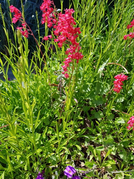 Hi can anyone tell me what these are?