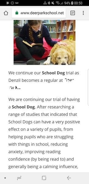 School is getting a dog