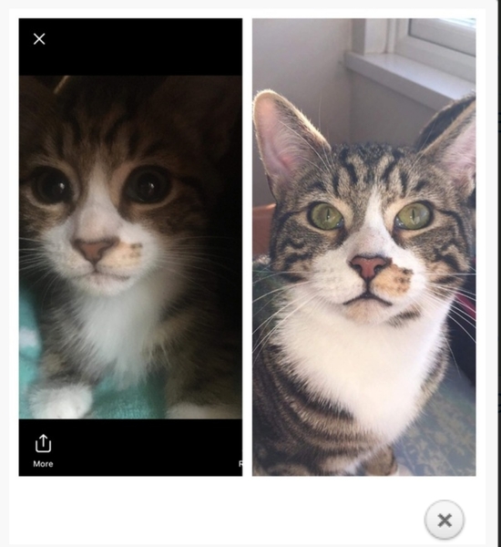 My handsome boy is 1 year old