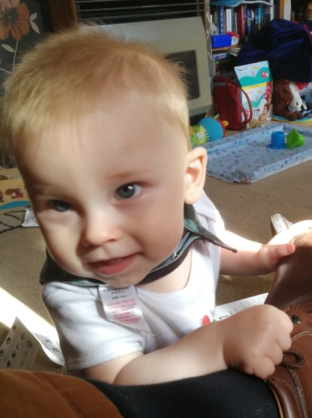 To clap my hands and skip about in a elephantine manner?