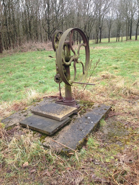 Photos taken on your cycle.