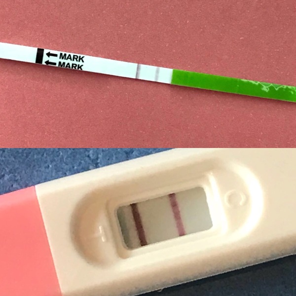 Can anyone help with opk questions?