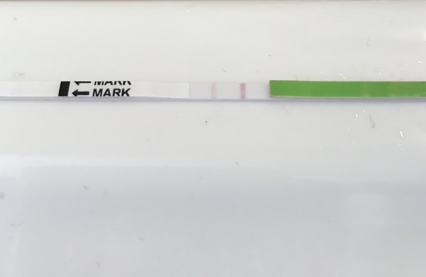TTC after Pregnancy Loss Thread 20 - Fx for 2019 babies