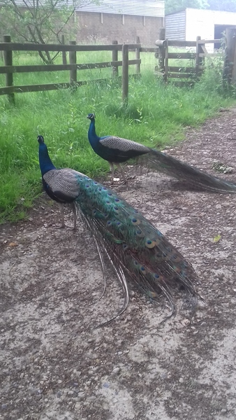 May Making Money Go Frugally Further