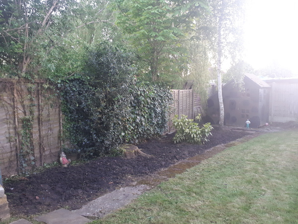 Large border ideas (photo included)