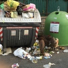 Westministenders: Stalling for Time