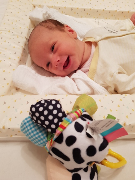 Pregnancies April 2018 - #3 the babies are nearly here !