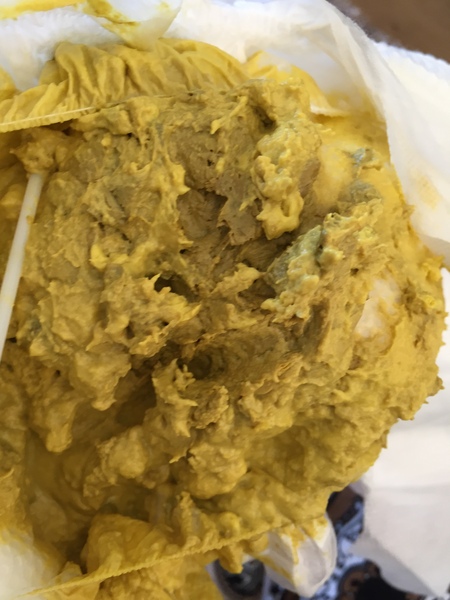 Weird poo - WARNING PHOTO