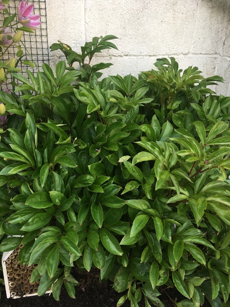 What is this?
