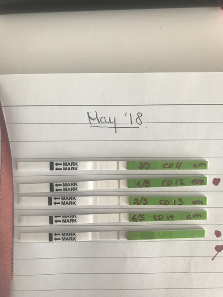 +ve opk after ovulation?i