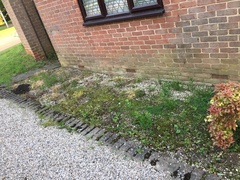 What to do with this patch by my house?