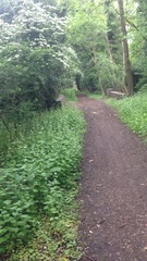 Photos taken on your cycle.