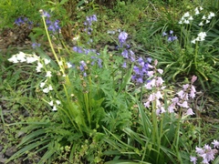 Photos taken on your cycle.