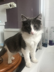 .. to be jealous of my cat..