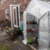 Allotment/Veg Patch Thread 12! Plotmenters hoping for better weather