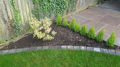 Help me fill up my new flowerbeds please