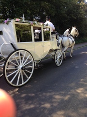 Photos taken on your cycle.