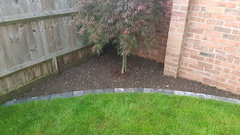 Help me fill up my new flowerbeds please