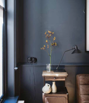 What paint colour for this room? It's a tricky one..