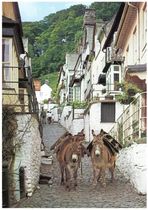 To not pay to visit portmeirion
