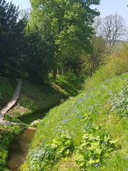 Swagger Inn 155 - it’s Springtime, time to frolic and gambol with the HBFs