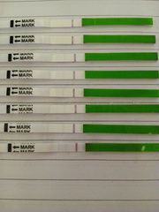 TTC after miscarriage Thread 21. JKS