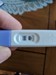 Do you have pictures of your positive pregnancy tests?