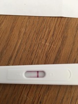 Due January 2019