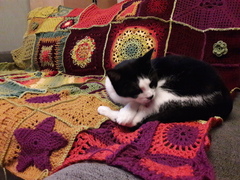 Thread 2! Woolly Hugs. Chernobyl 2018 is HERE!!!