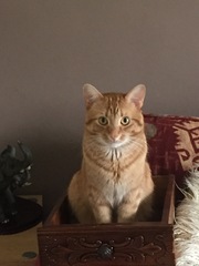 I Am Being Unreasonable (Sorry!)