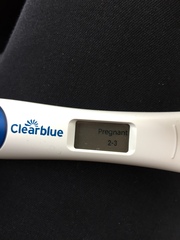 Do you have pictures of your positive pregnancy tests?
